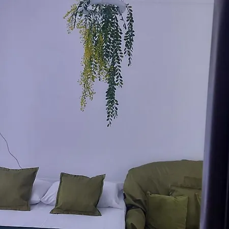 Best Room Apartment